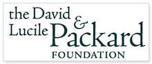 new packard logo